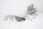 Jour de neige : Col du Pendu, Neige
