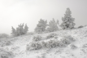 Hiver