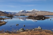 Glencoe