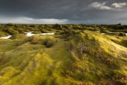 Jardin sauvage : Islande