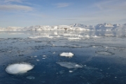 Sur le fjord
