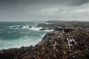 Loop Head