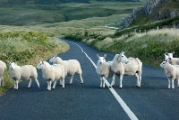 Malin Head