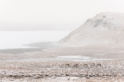 Jour blanc