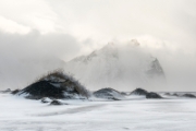 Höfn