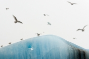 Réflexion bleue