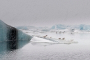 Jökulsárlón