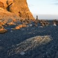 Plage de Vik