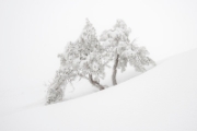 Hiver