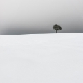 Sur le Causse Méjan