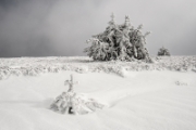 Mont Aigoual