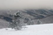 Mont Aigoual