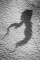 DSC 1226