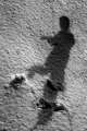 DSC 1231