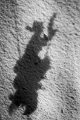 DSC 1279