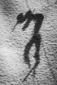 DSC 1288