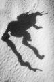 DSC 1416