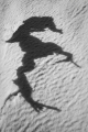 DSC 1453